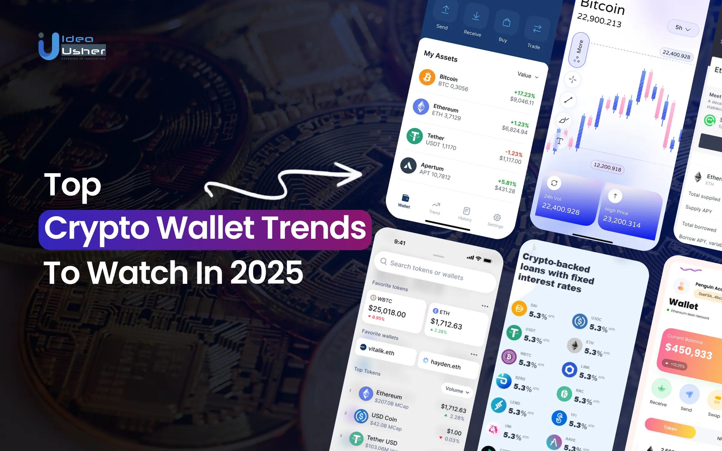 Modern decentralized identity (DID) wallet interface in 2025 with sleek onboarding and multi-chain asset management features, showcasing user-friendly design and seamless digital identity control.