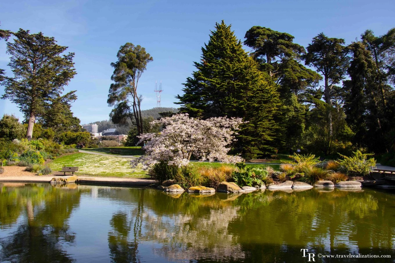 Tranquil scene from Botany Manor featuring sun-dappled Victorian gardens and detailed plant specimens, perfect for cozy indie hidden object game fans on Steam in 2025.