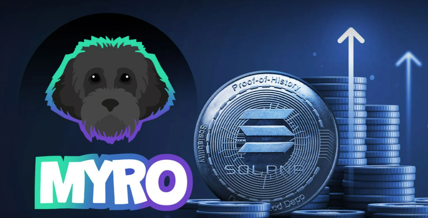 Vibrant illustration of BONK, WIF, POPCAT, MYRO, and HYPER mascots together in a playful Solana-themed setting