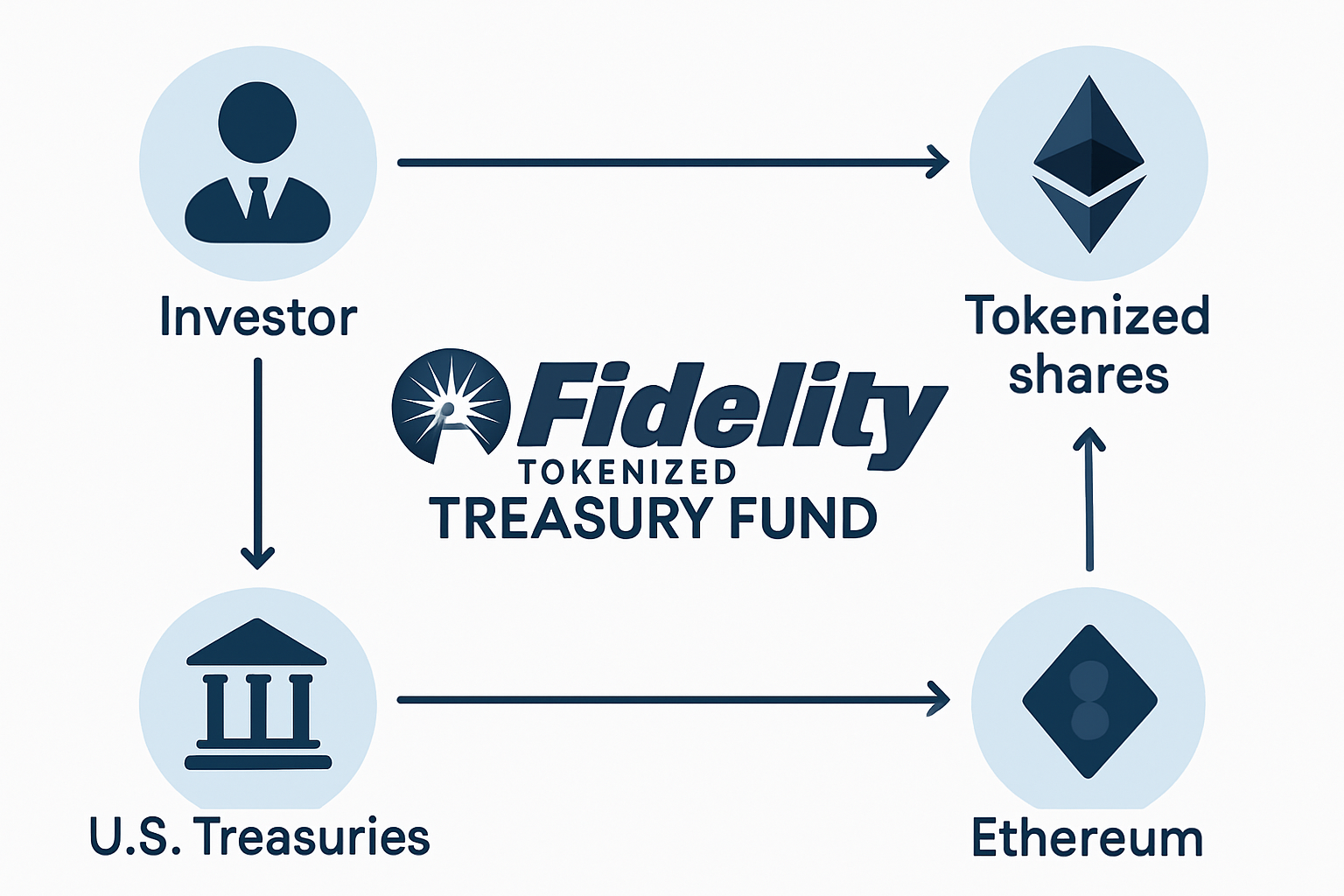 Visual breakdown of Fidelity's tokenized U.S. Treasury fund flows on Ethereum blockchain, illustrating digital asset movement and institutional adoption.