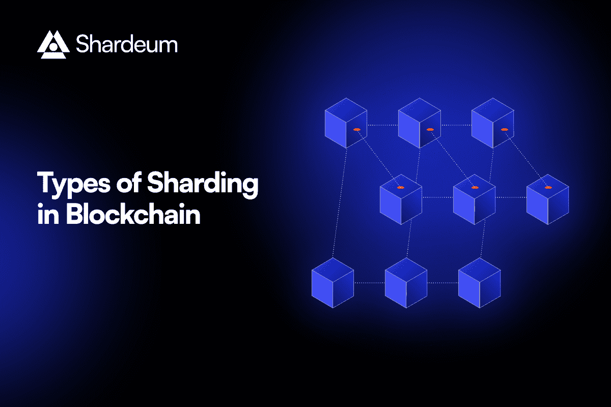 Diagram comparing dynamic fee adjustments and static fees on a custom blockchain app-chain, illustrating real-time adaptability versus fixed costs