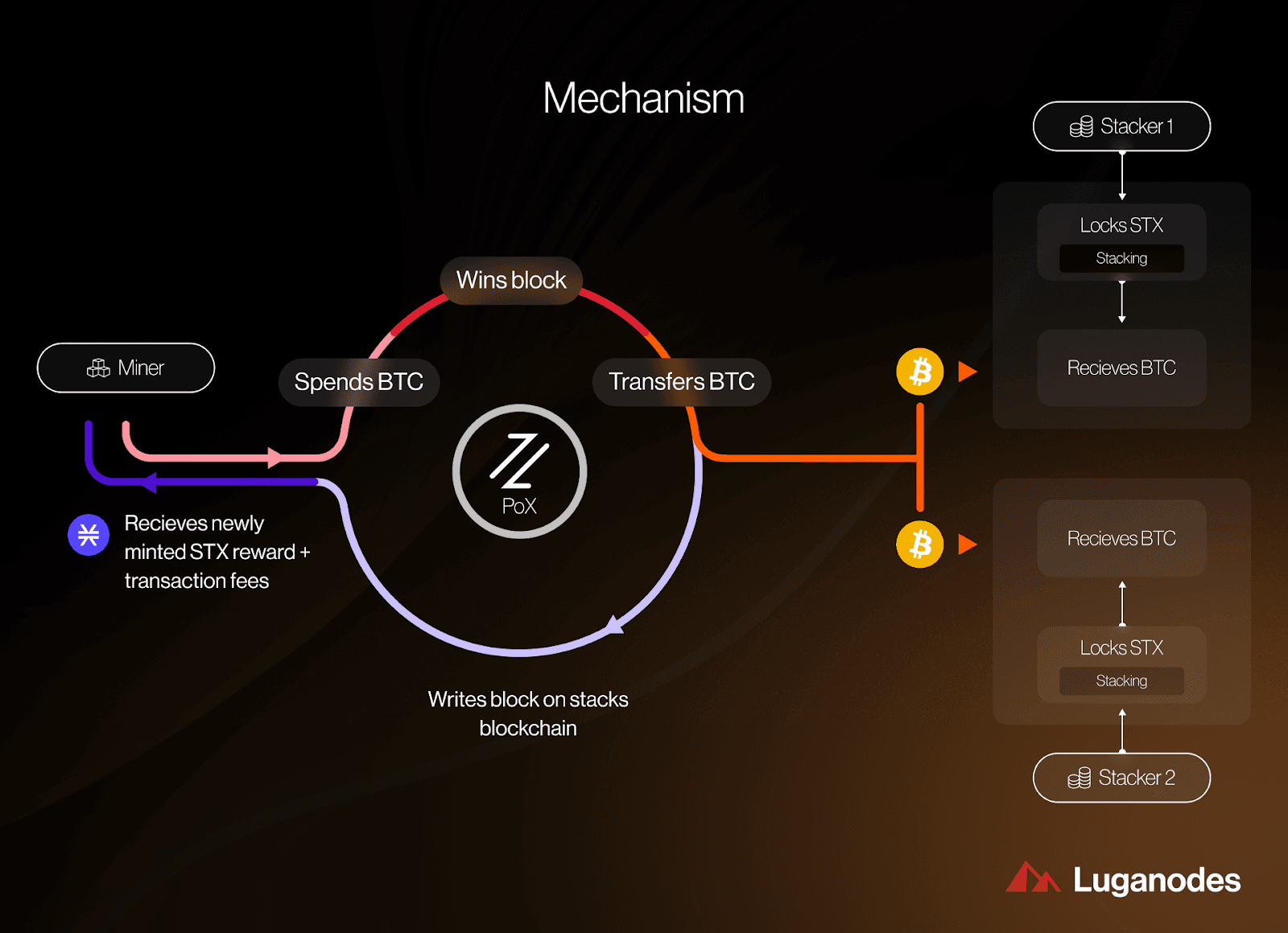 Diagram illustrating native Bitcoin (BTC) flowing directly into DeFi protocols without wrapping or bridges, highlighting secure cross-chain integration using zero-knowledge proofs and multi-party computation.