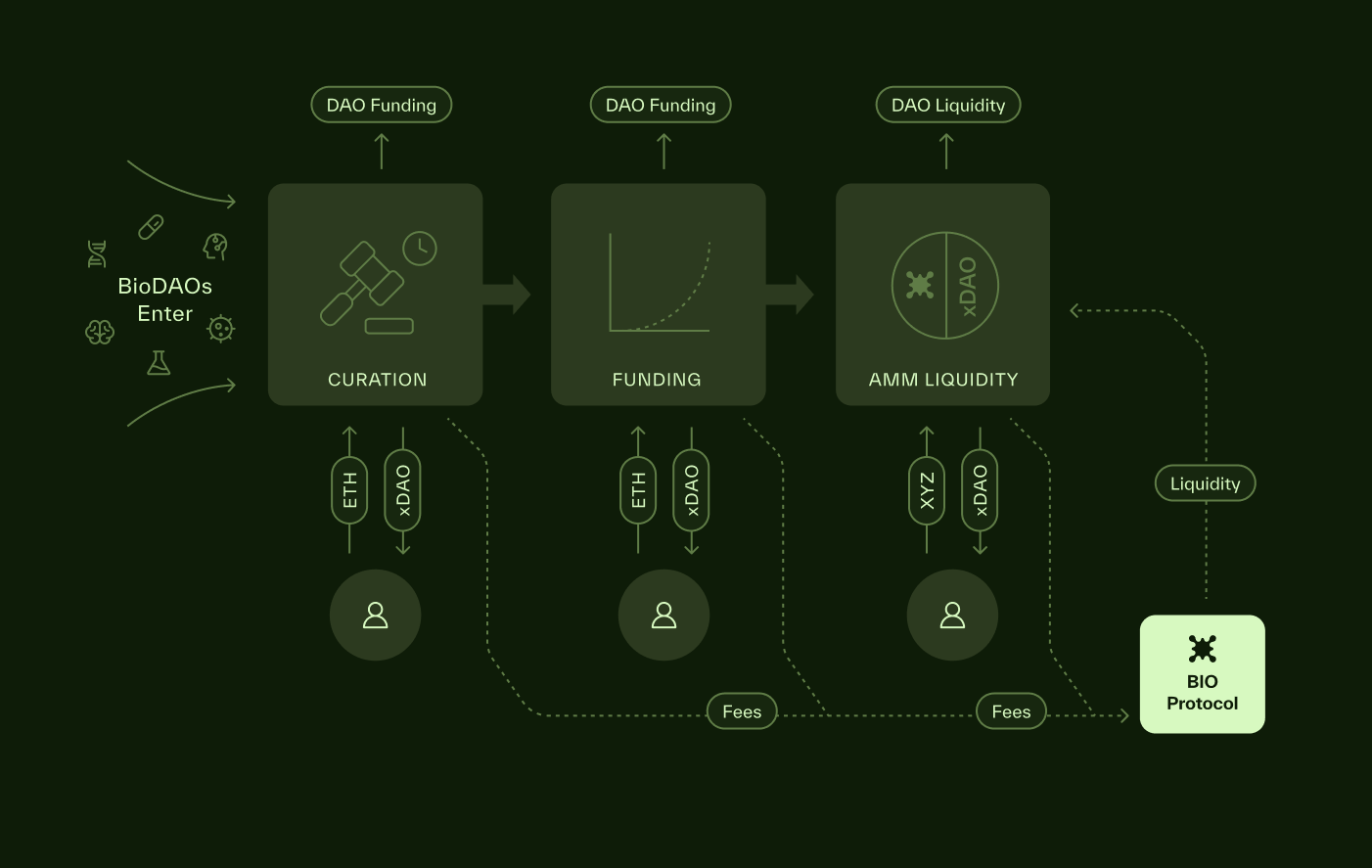 DAO treasury flows visualized with diversified assets, automation, and unified on-chain platforms for DeFi fee optimization