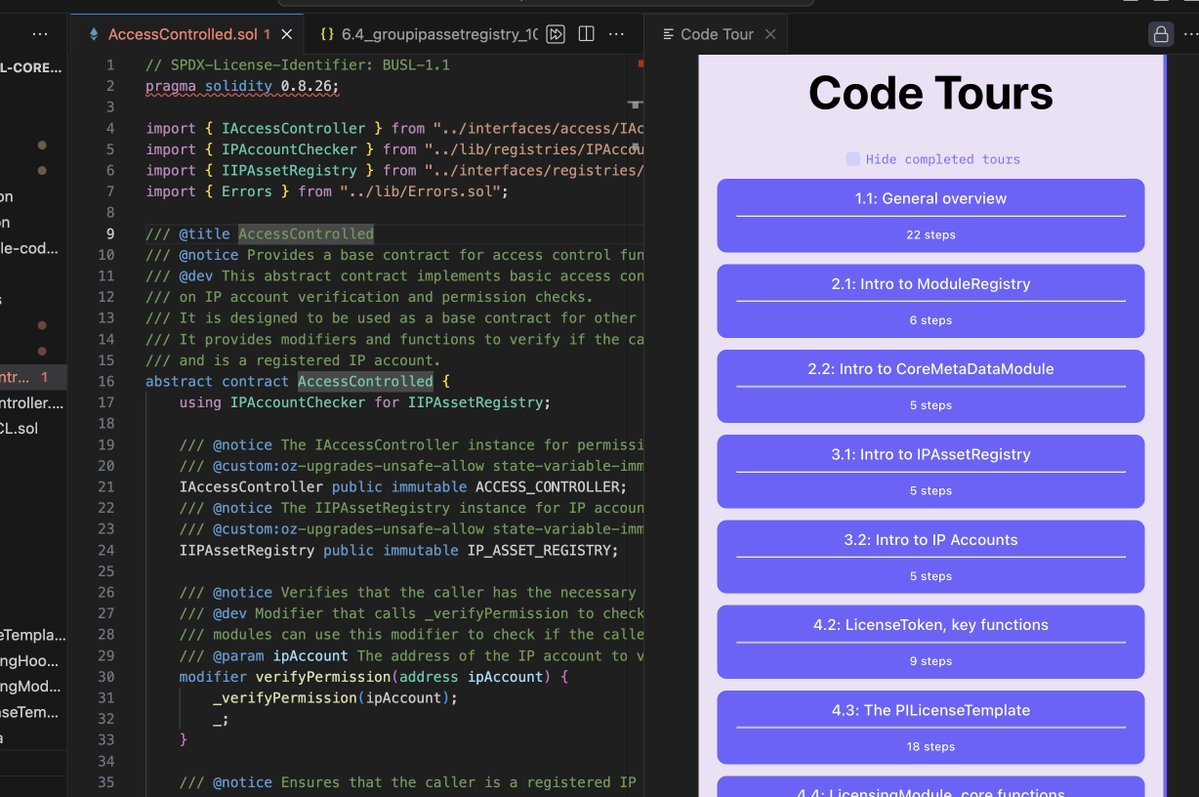 Story Protocol smart contract audit