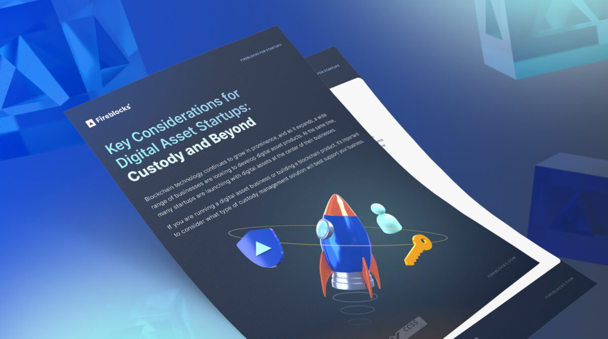 digital asset custody risk