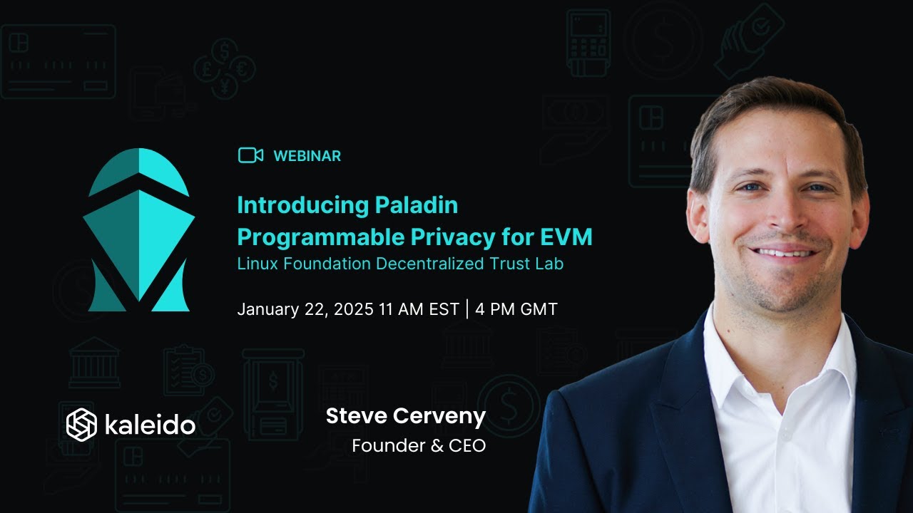 Paladin programmable privacy EVM