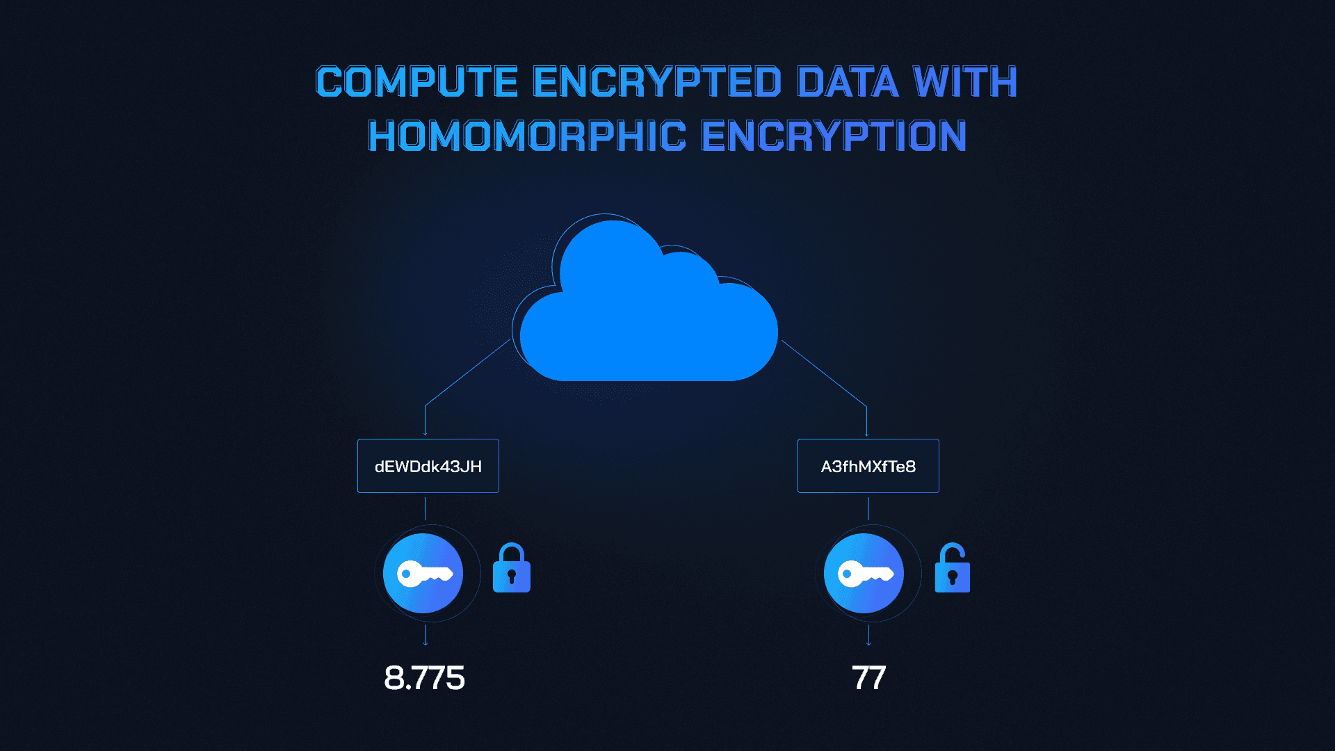 Homomorphic encryption confidential DAO voting