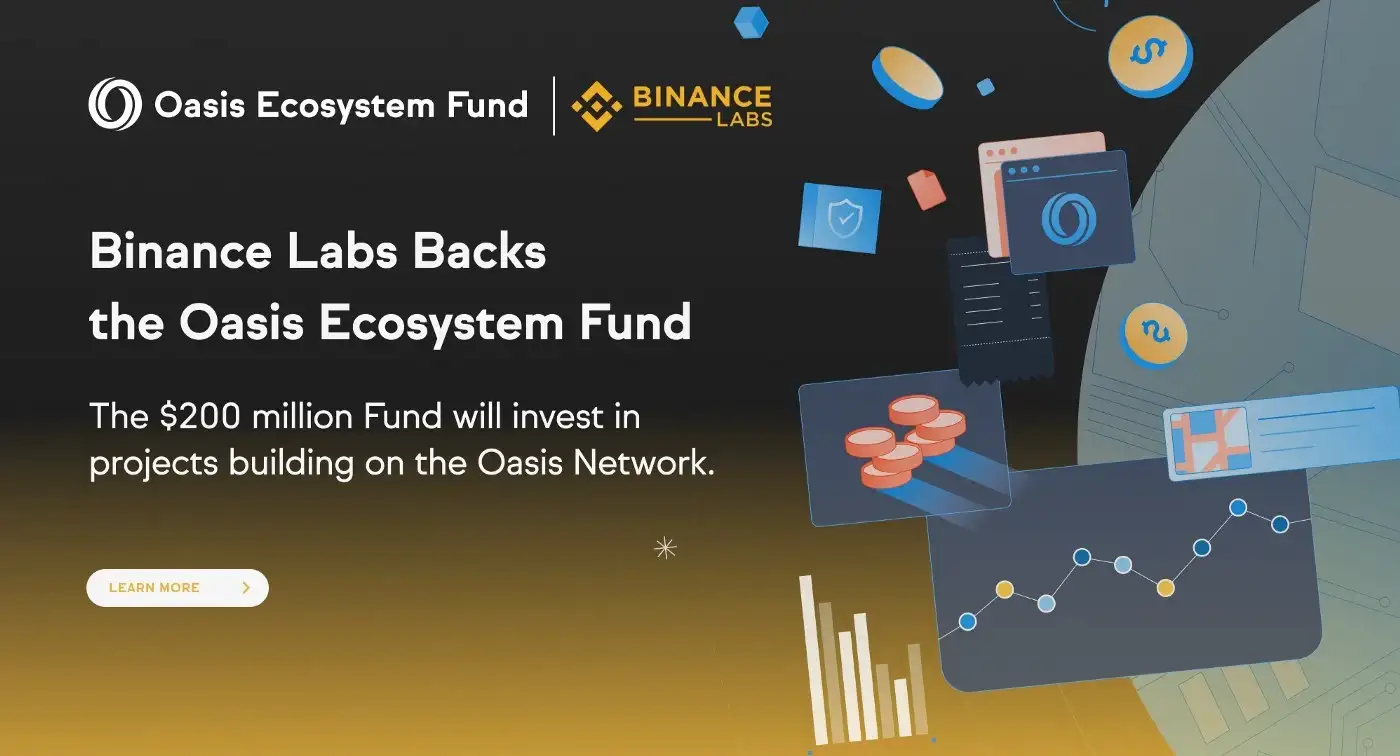 Oasis Network confidential DAO voting TEE