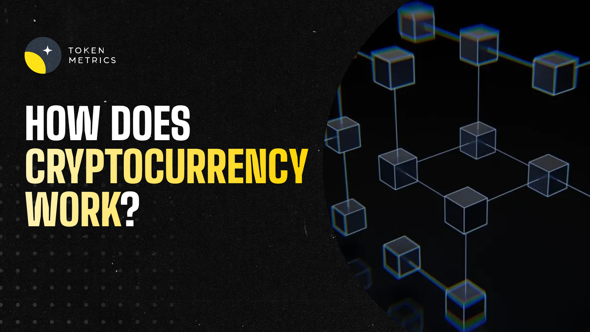 Token Metrics crypto portfolio tracker with ETF data