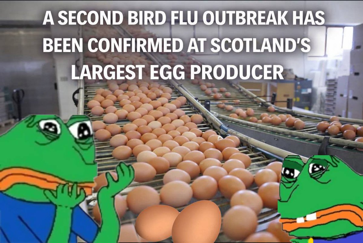 Okayeg OKAYEG Base memecoin