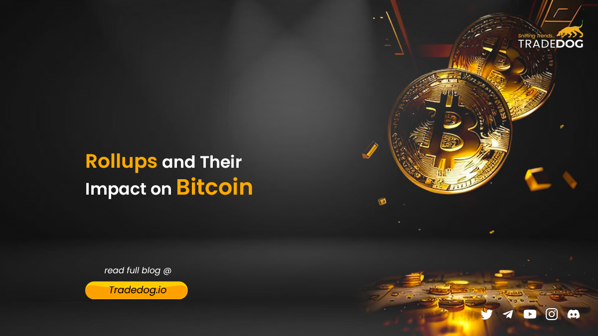 Chainway zk-Rollup Bitcoin