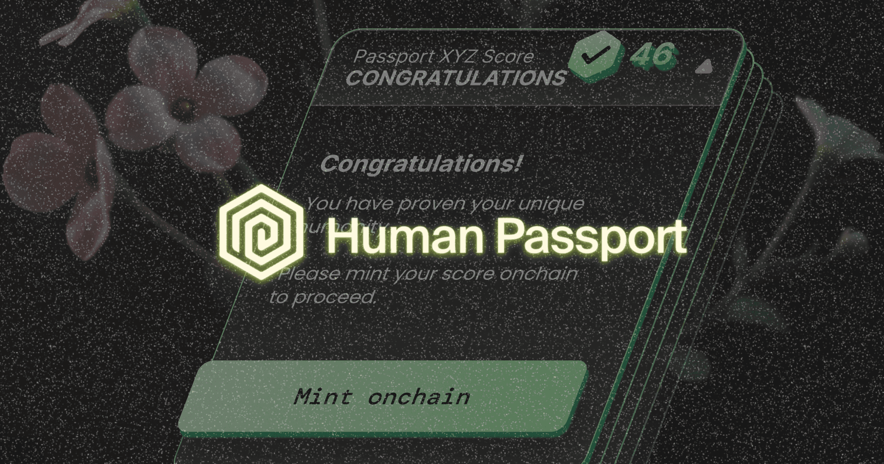 Onchain Passport decentralized identity zero-knowledge proof