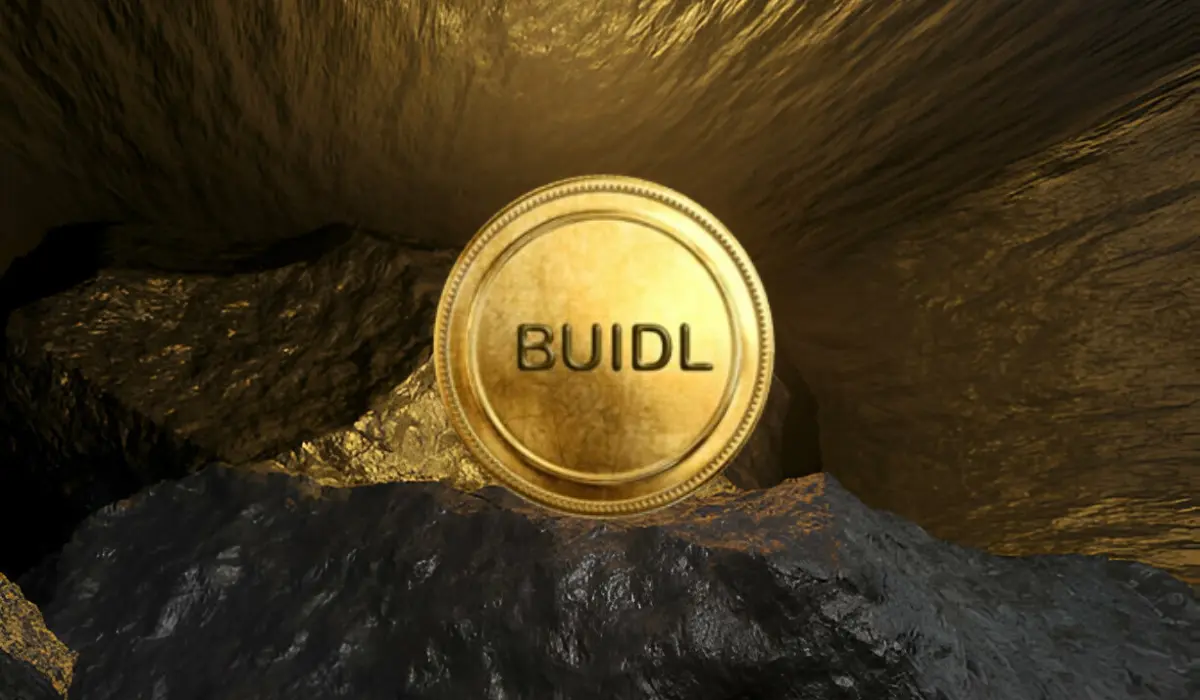 BlackRock BUIDL tokenized fund