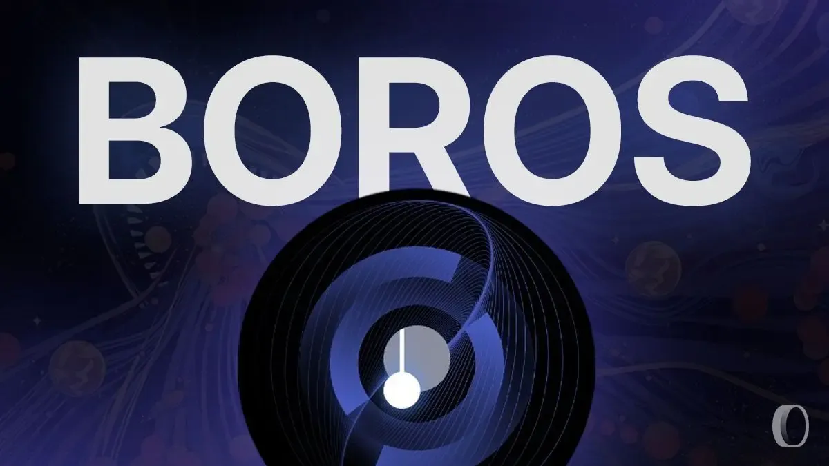 Boros funding rate hedging strategy