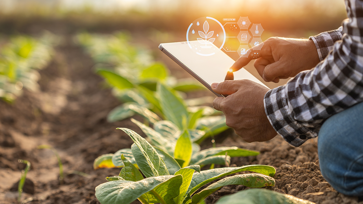 Helium IoT hotspots asset tracking smart agriculture