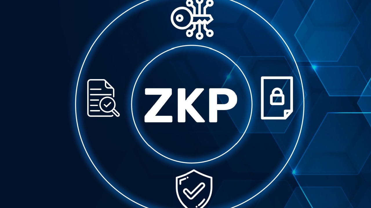 ZK proof privacy preservation icon