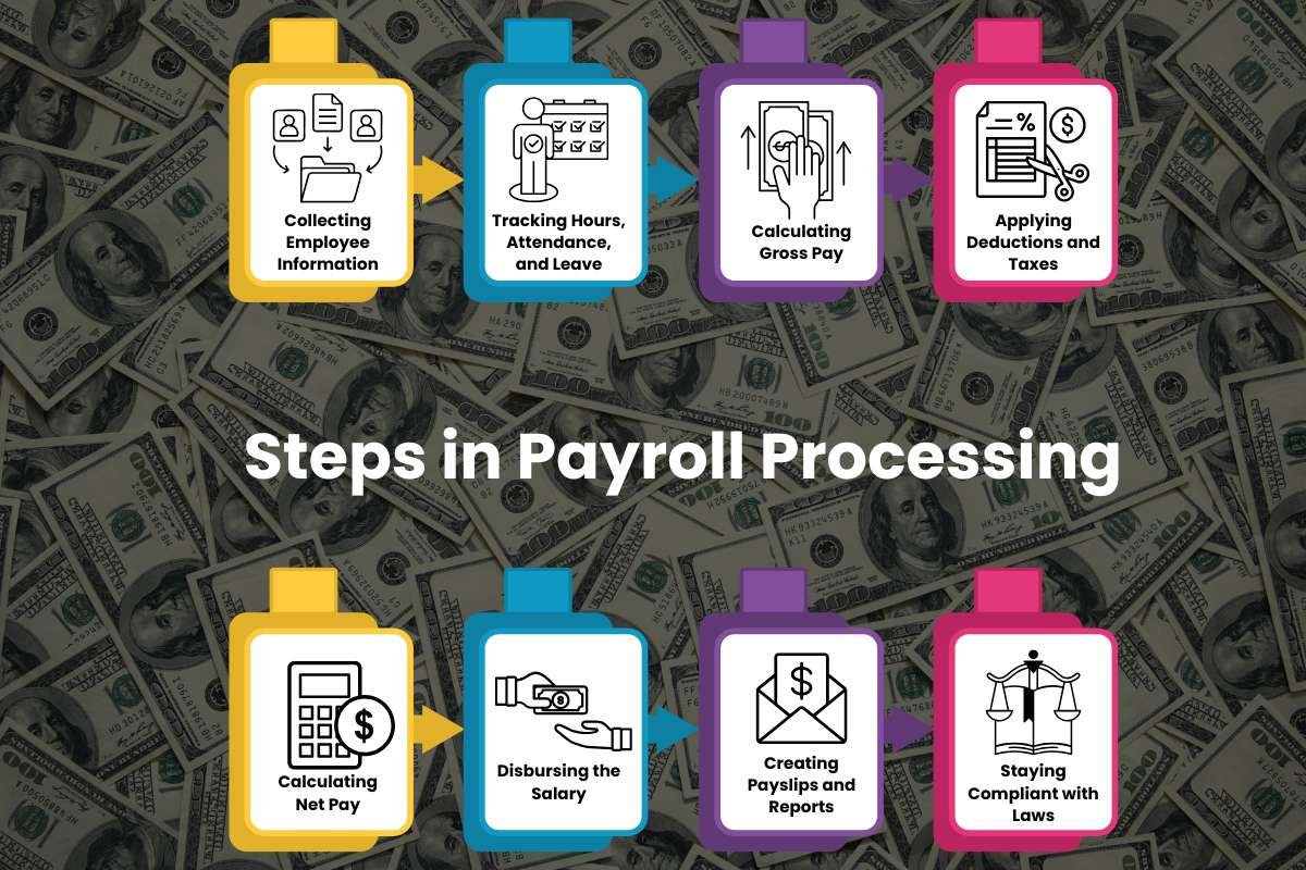 payroll contributor education infographic