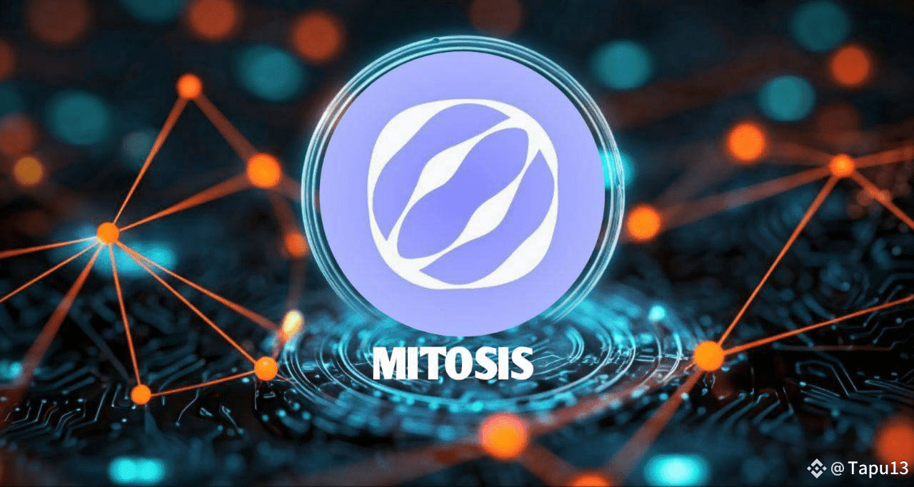 Mitosis cross-chain restaking