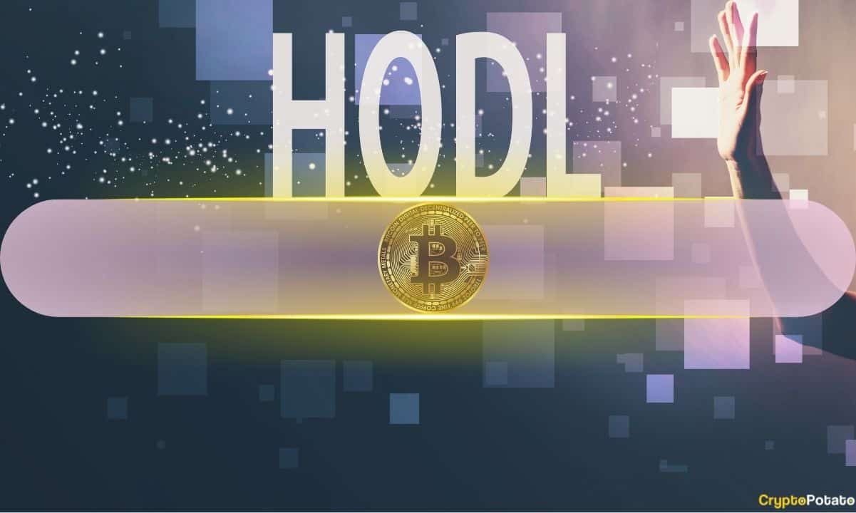 HODL crypto stability icon
