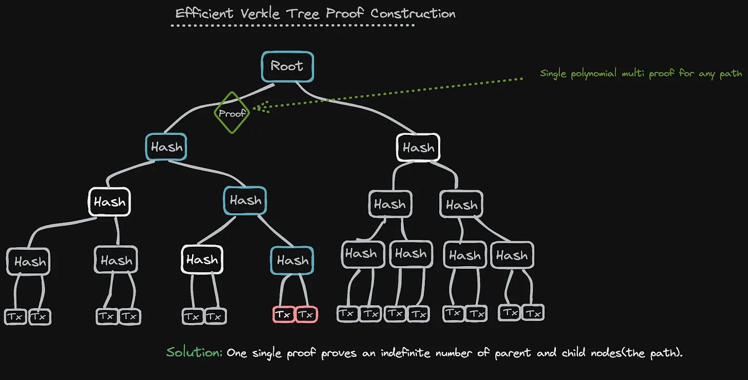 namespaced merkle trees in Celestia