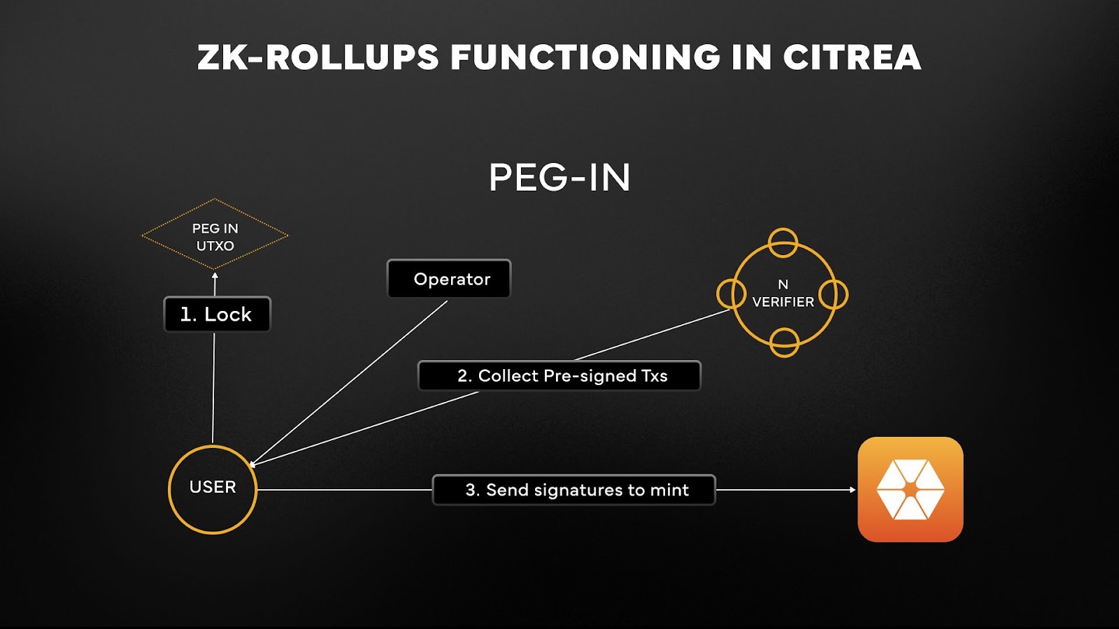 zkRollup prover network coordination diagrams
