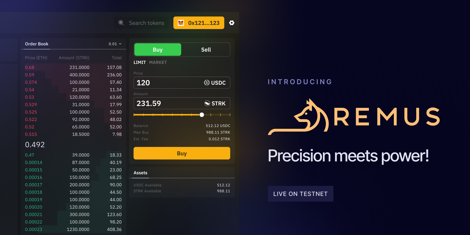 on-chain order book deep liquidity