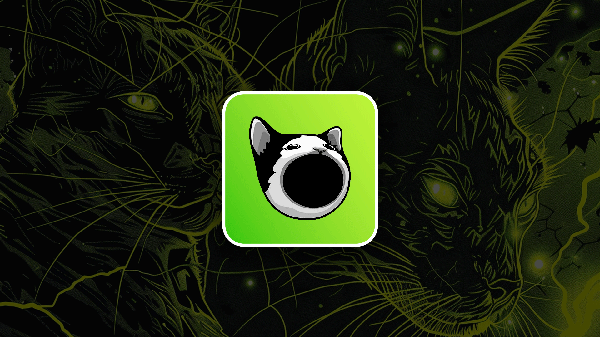 Popcat POPCAT Solana memecoin cat