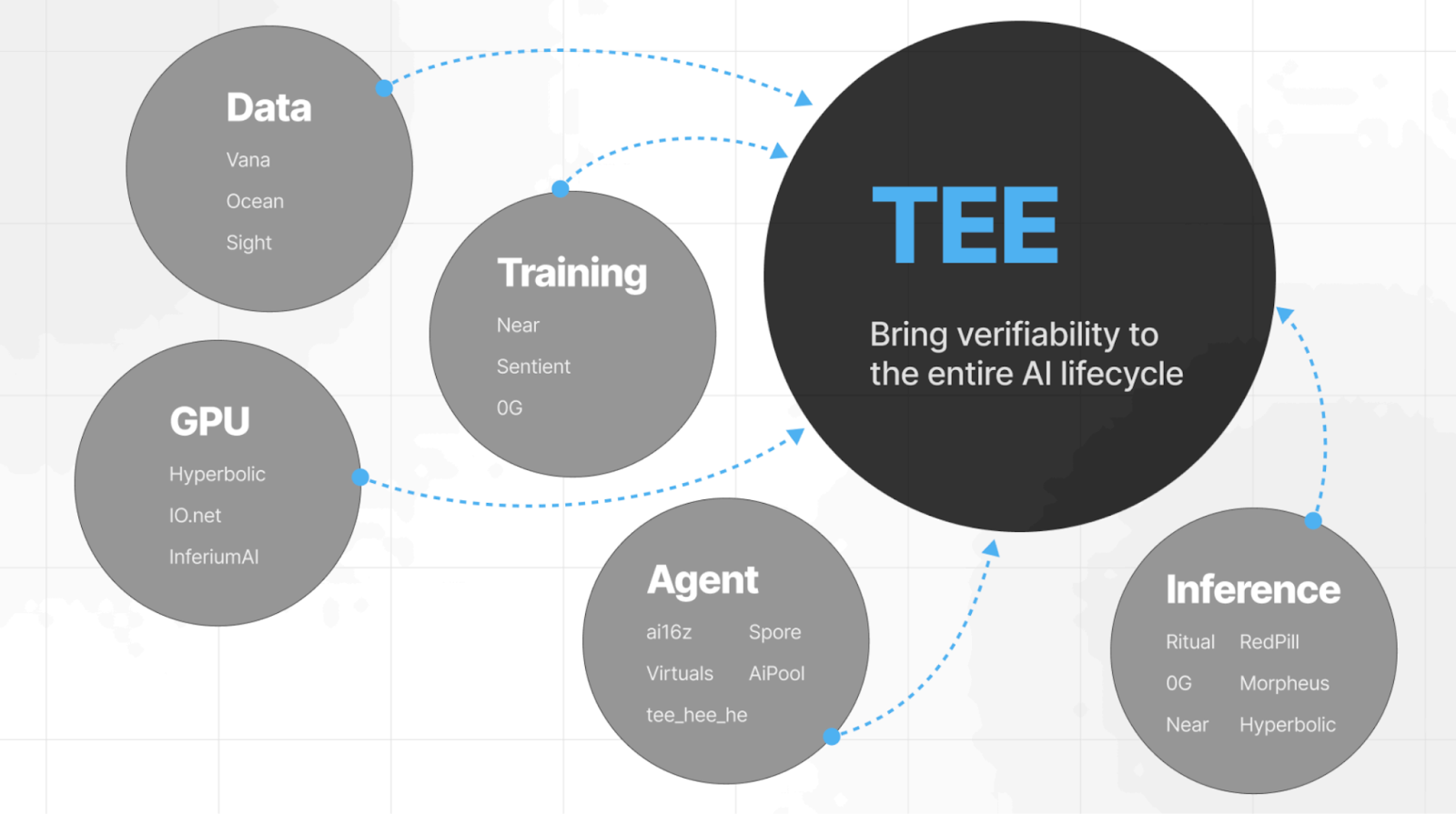 diagram comparing homomorphic encryption and TEE performance