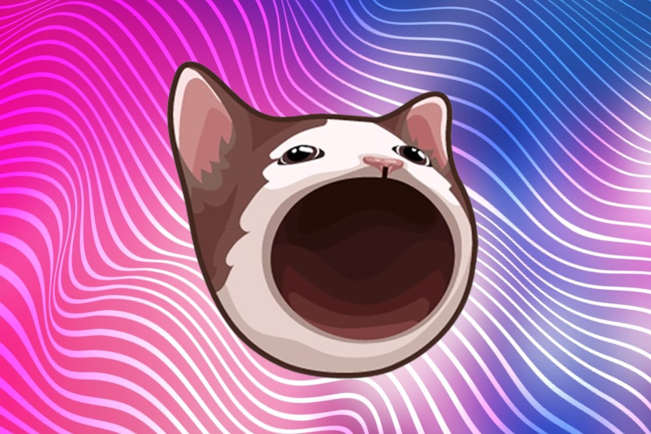 Popcat POPCAT Solana meme coin cat