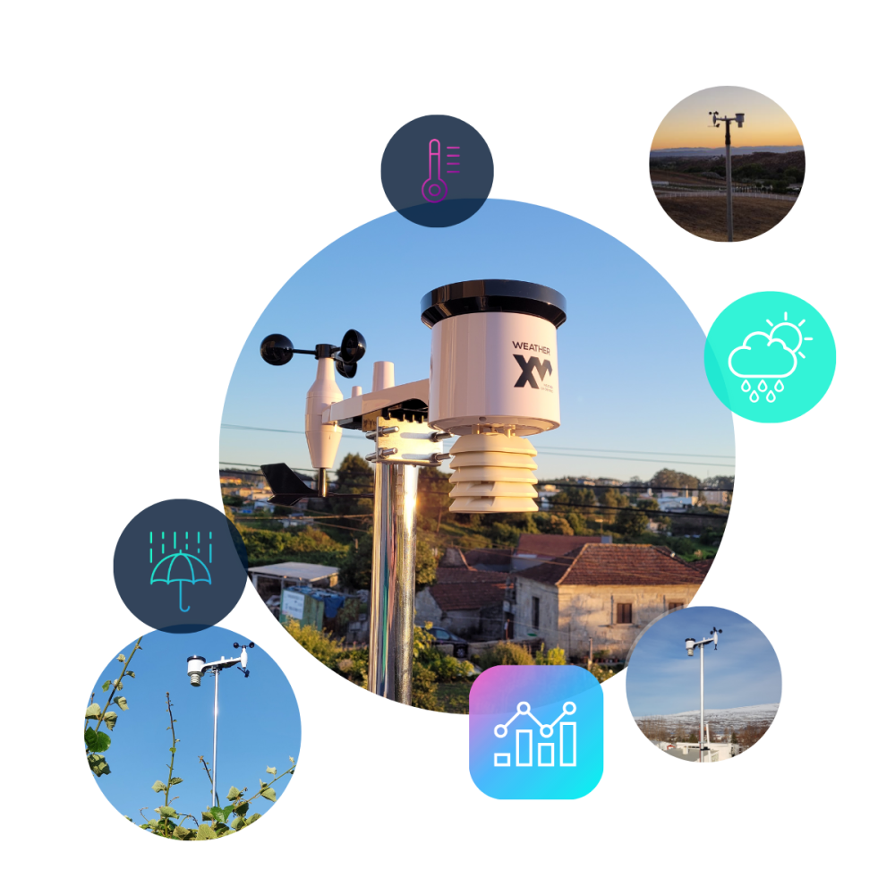 WeatherXM decentralized weather station Solana 2025