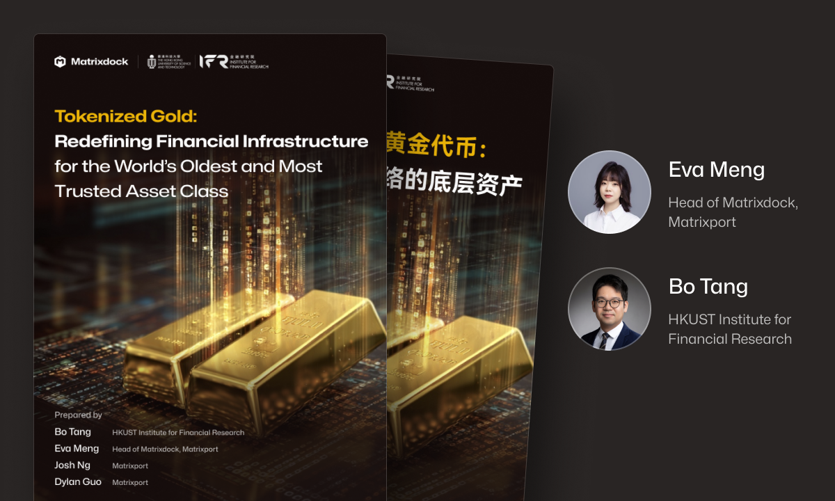 Matrixdock XAUm DeFi integration