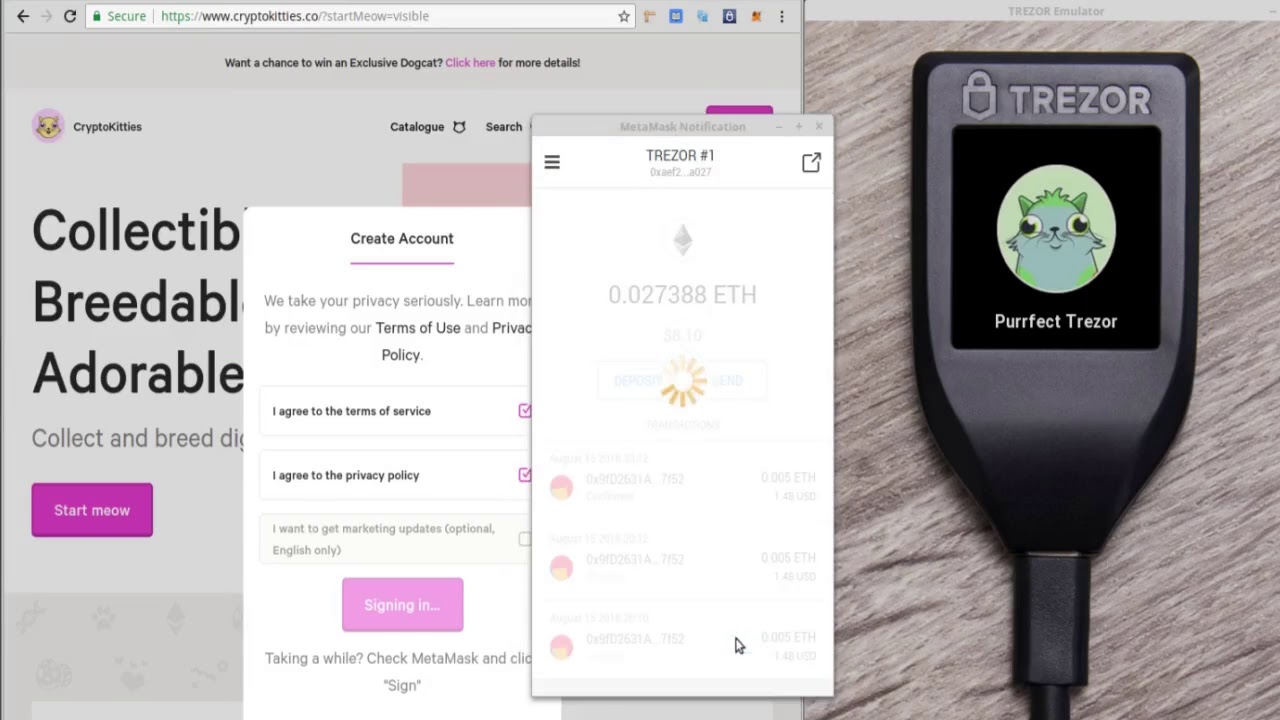 MetaMask Trust Wallet Trezor Ethereum wallet