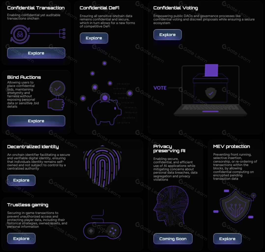 homomorphic encryption confidential DAO voting