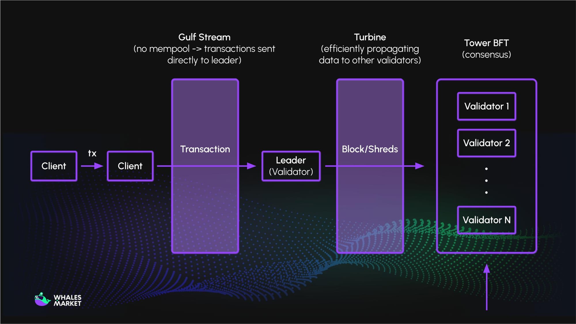 Base mempool whale transaction visualization