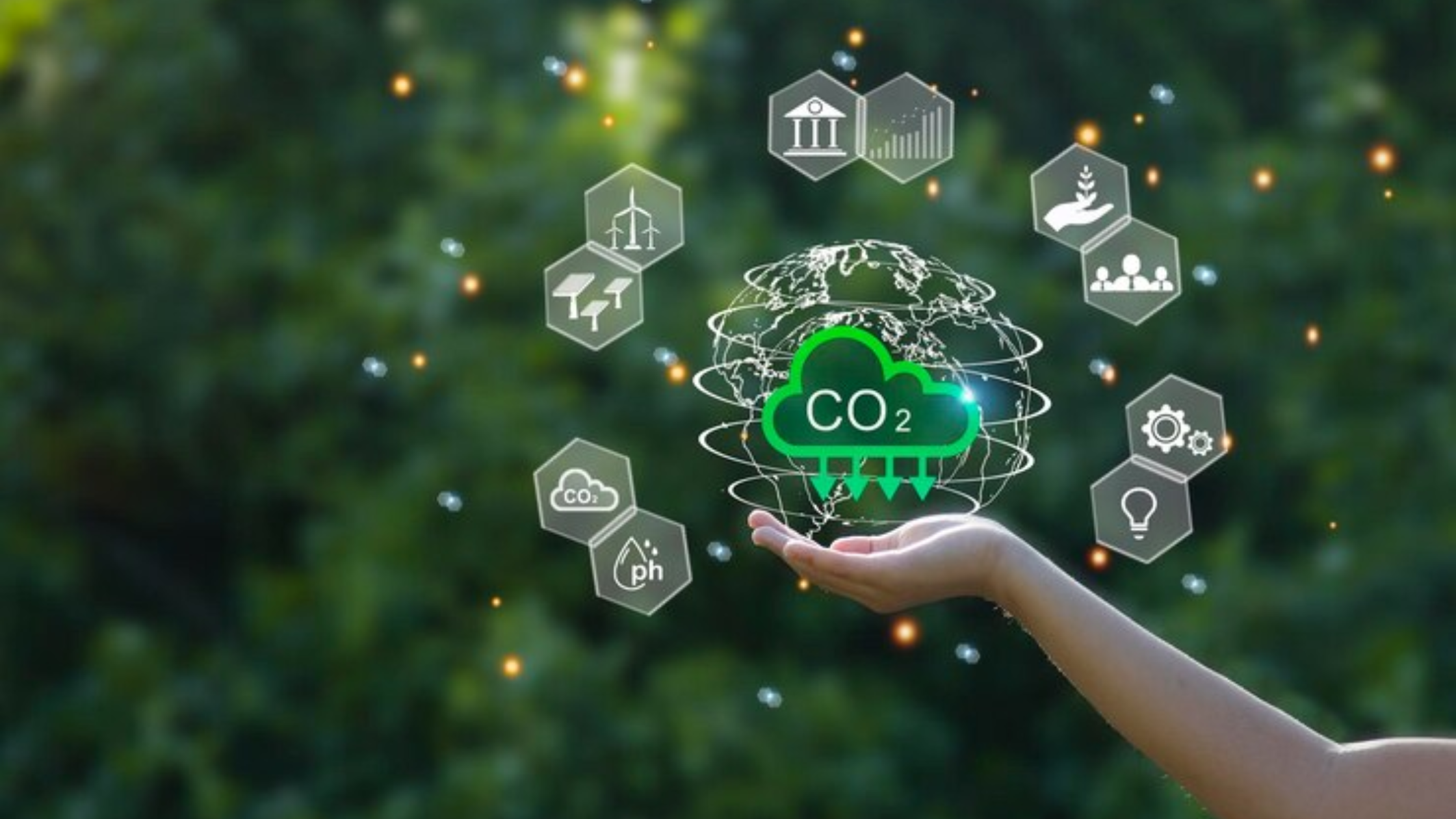 tokenized carbon credits blockchain