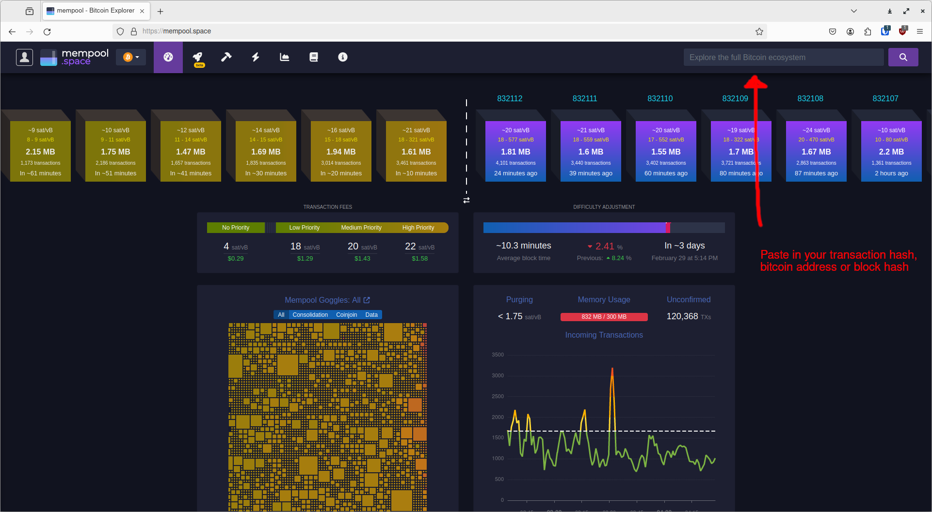 Blockchain transaction explorer transparency