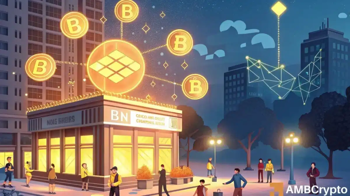 BNB Chain low transaction fees illustration