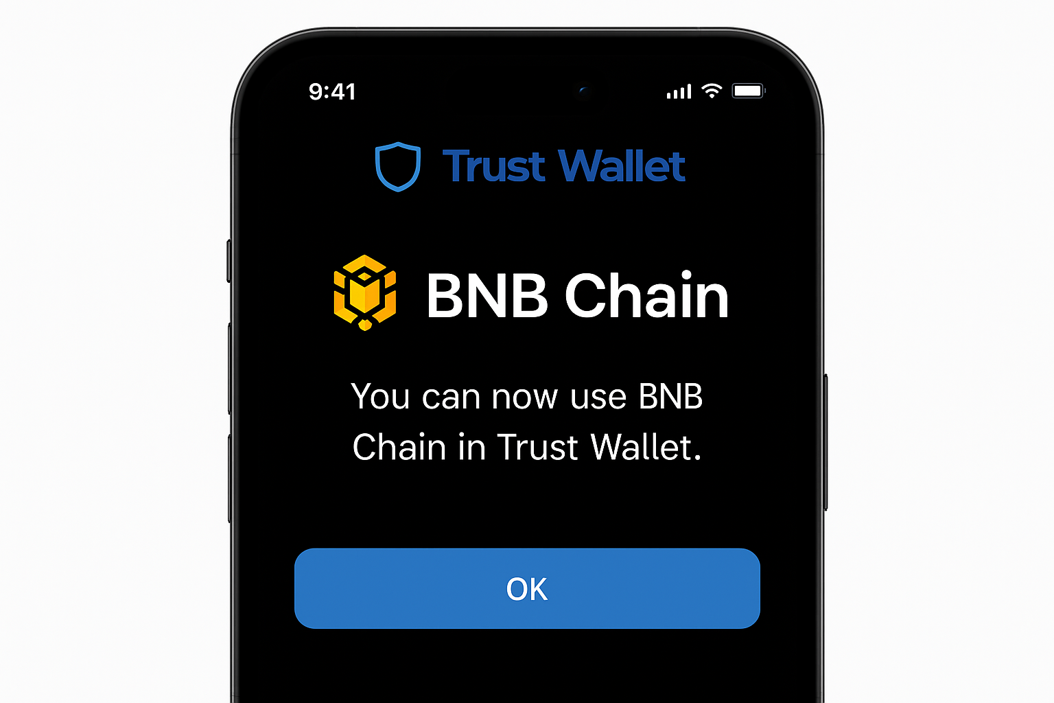 Trust Wallet BNB Chain integration screenshot
