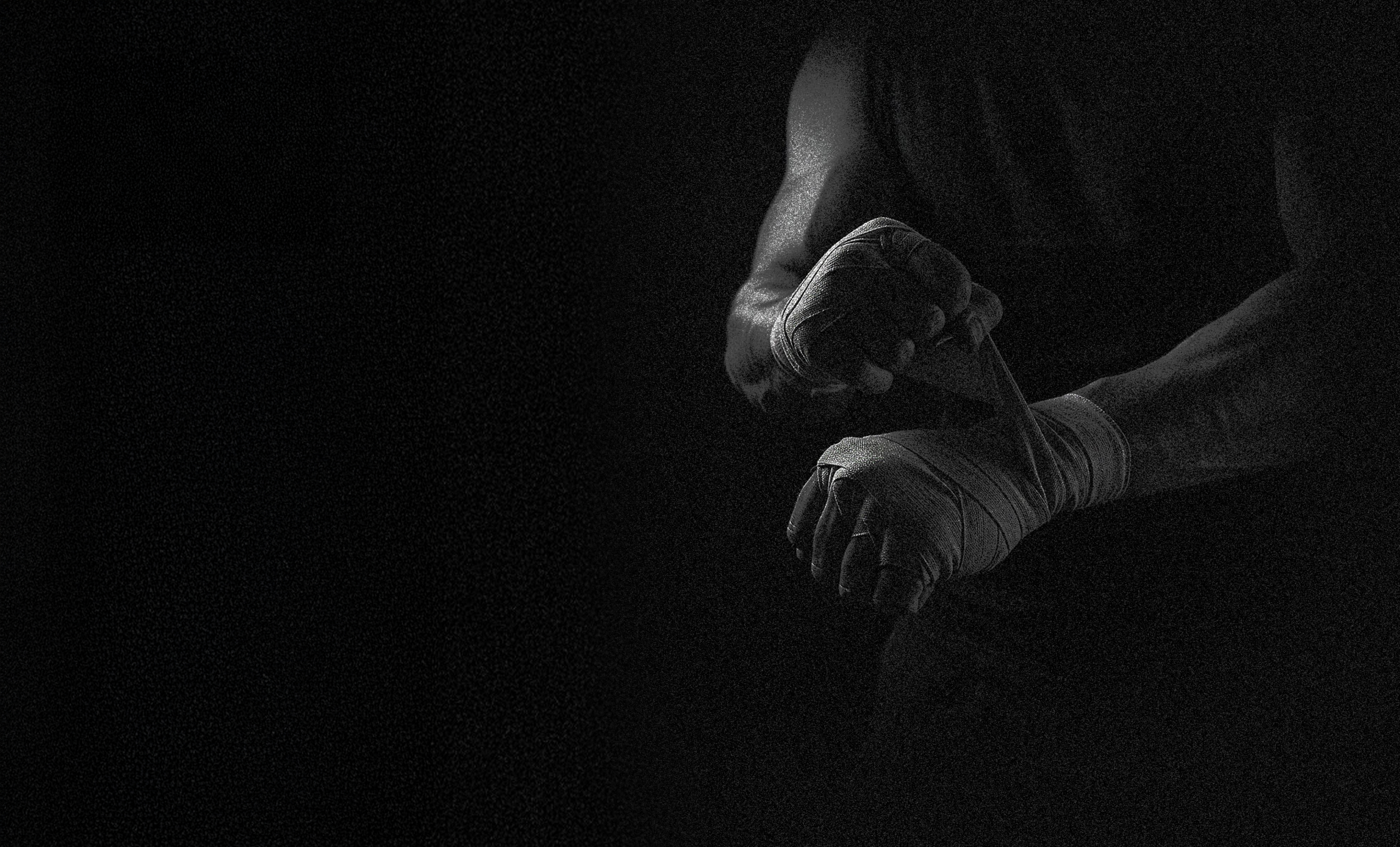 Fight.ID digital fan identity MMA