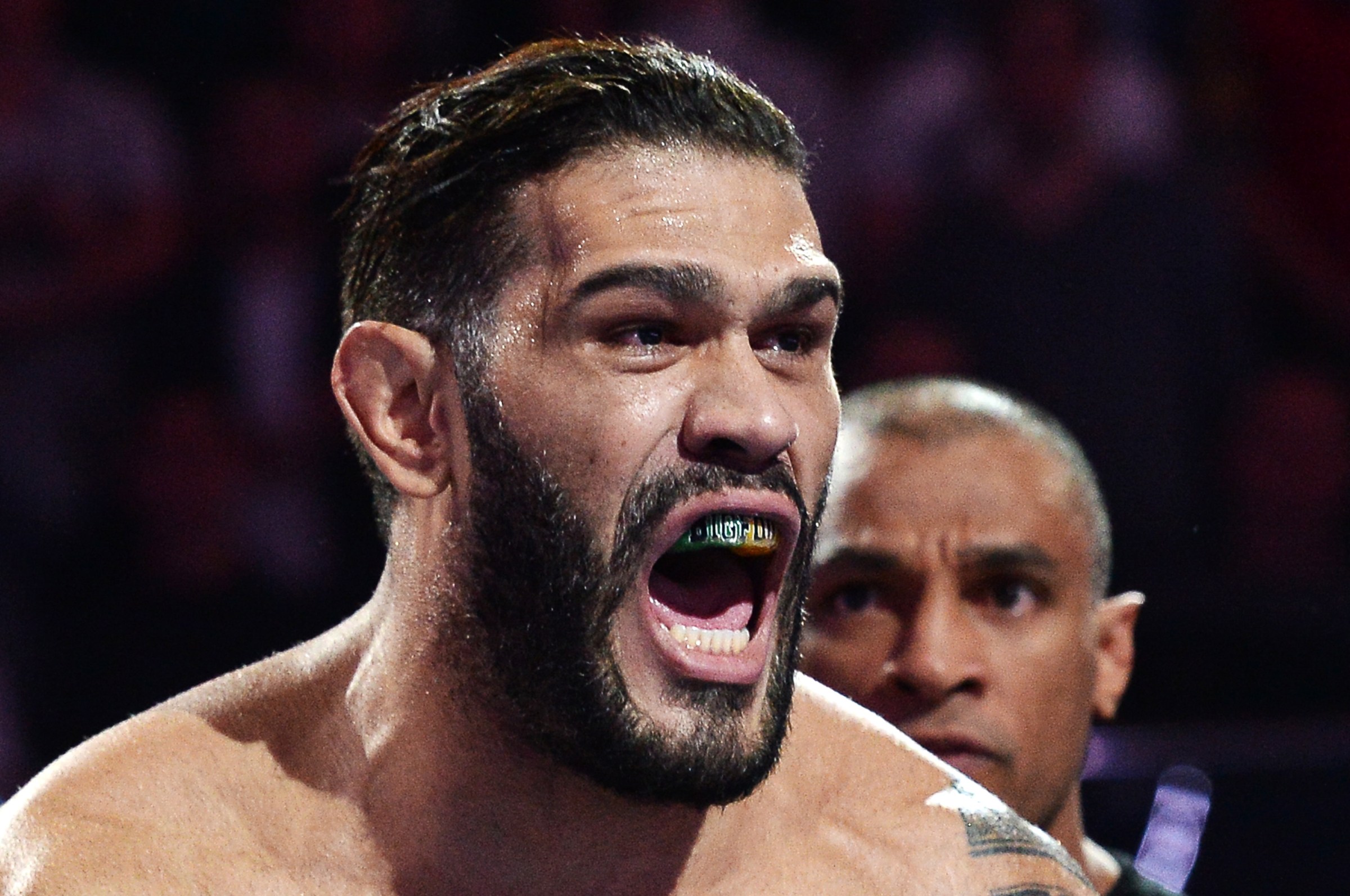 Fight.ID digital identity MMA