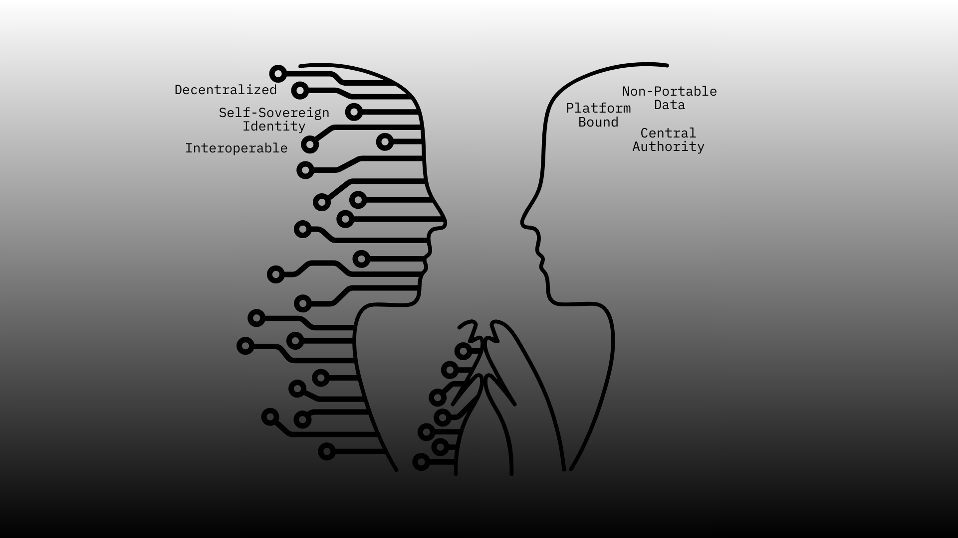 Conceptual illustration of a self-sovereign identity (SSI) wallet securely managing Decentralized Identifiers (DIDs) and verifiable credentials for user-controlled digital identity
