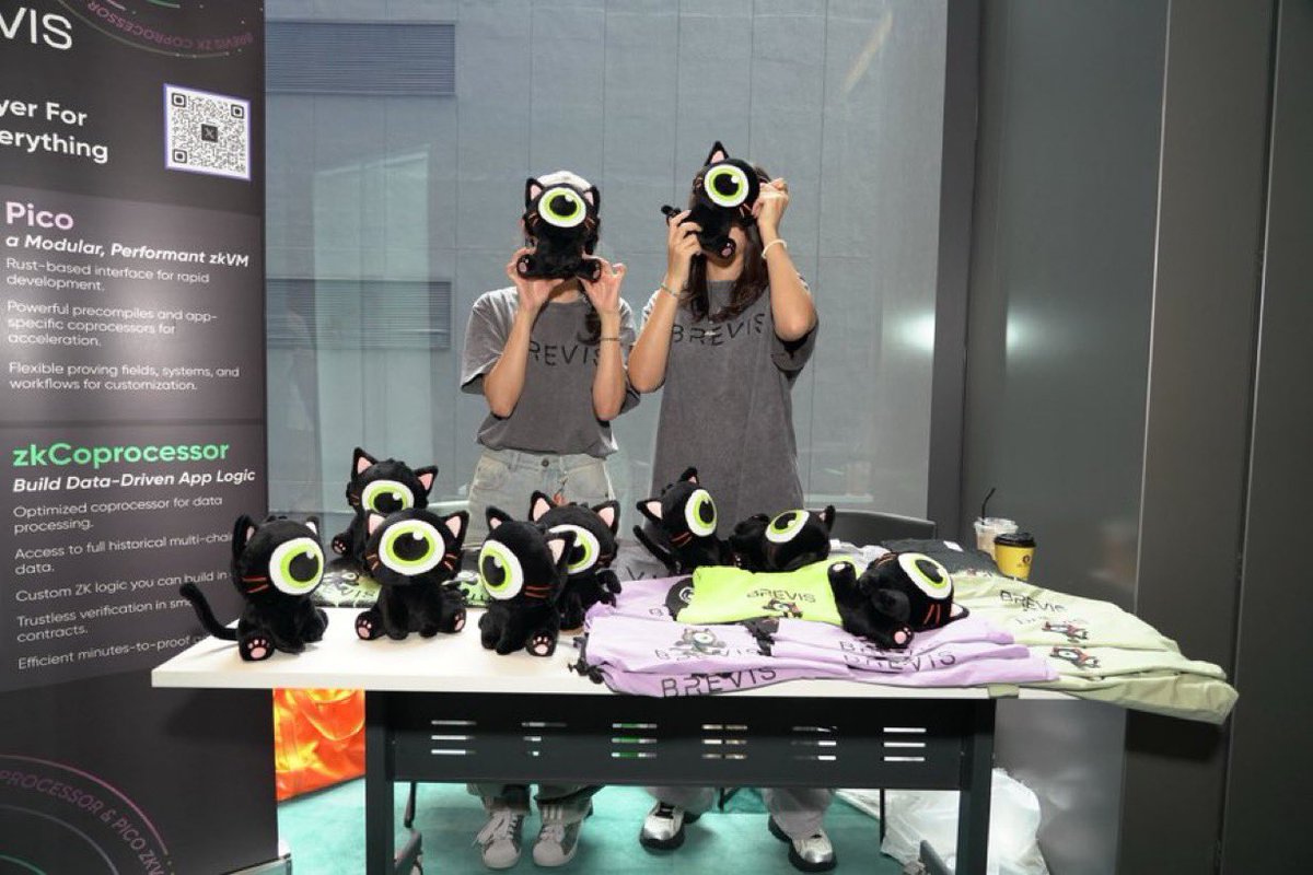 ZK-Proof rewards MetaMask Brevis icon