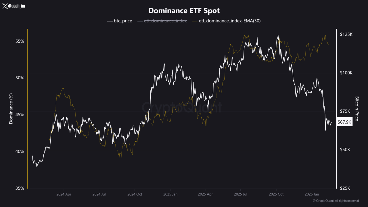 Institutional Bitcoin ETF investment graph