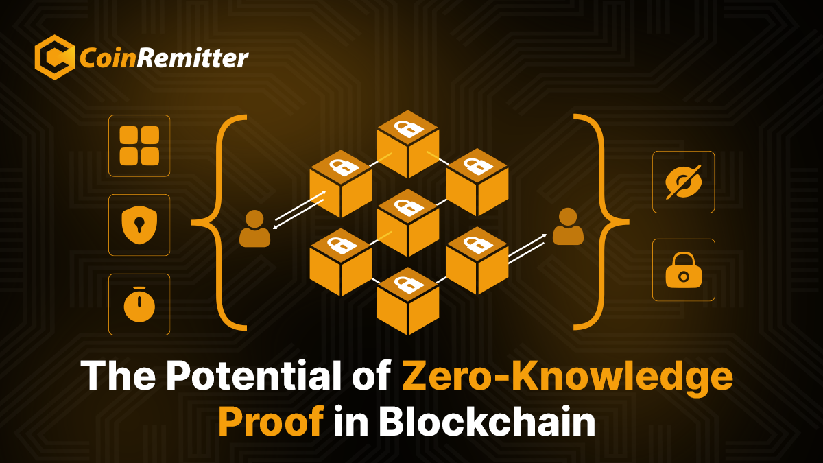 fraud reduction ZKP bug bounty