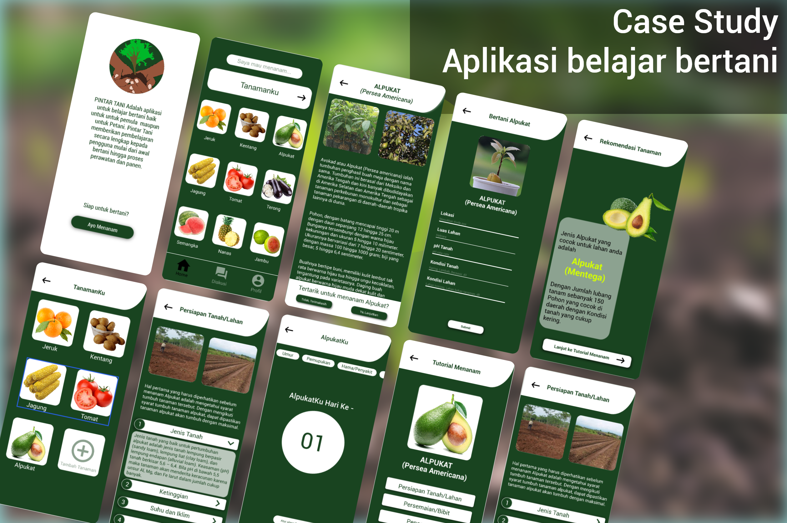 Corn TON farming mini app screenshot