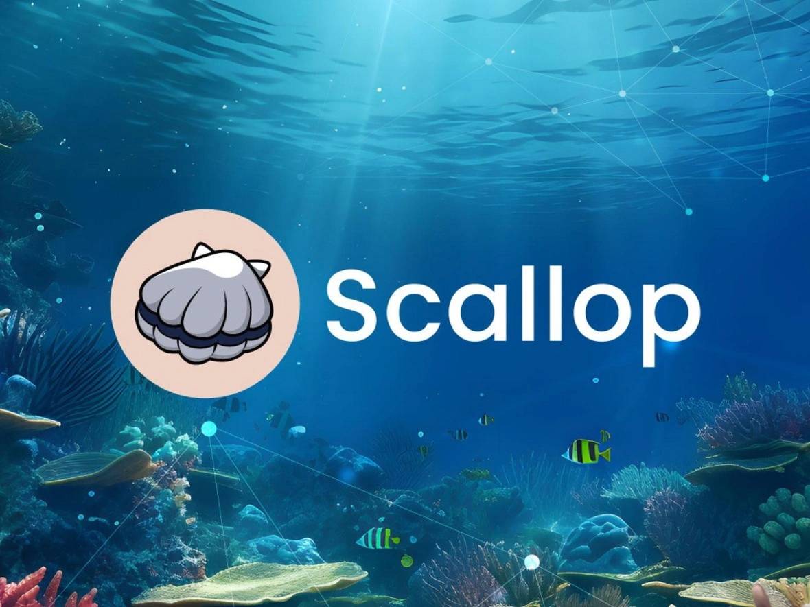 Scallop Sui lending