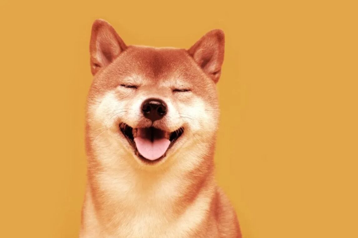 Dogecoin and Shiba Inu price surge 2025