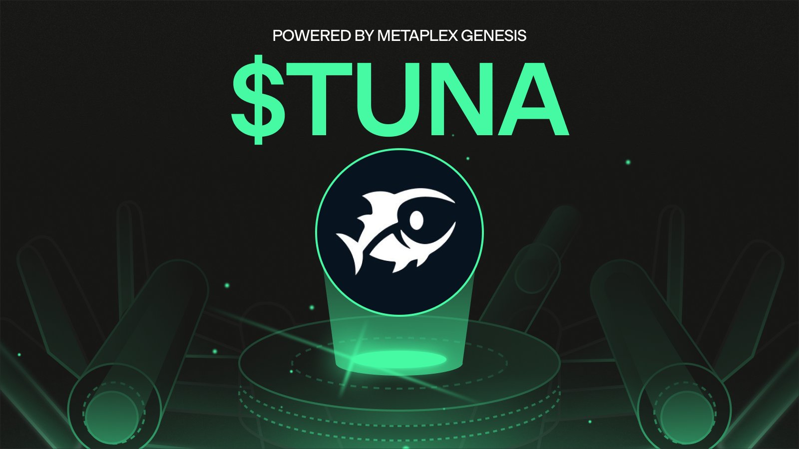 DeFiTuna Solana project logo