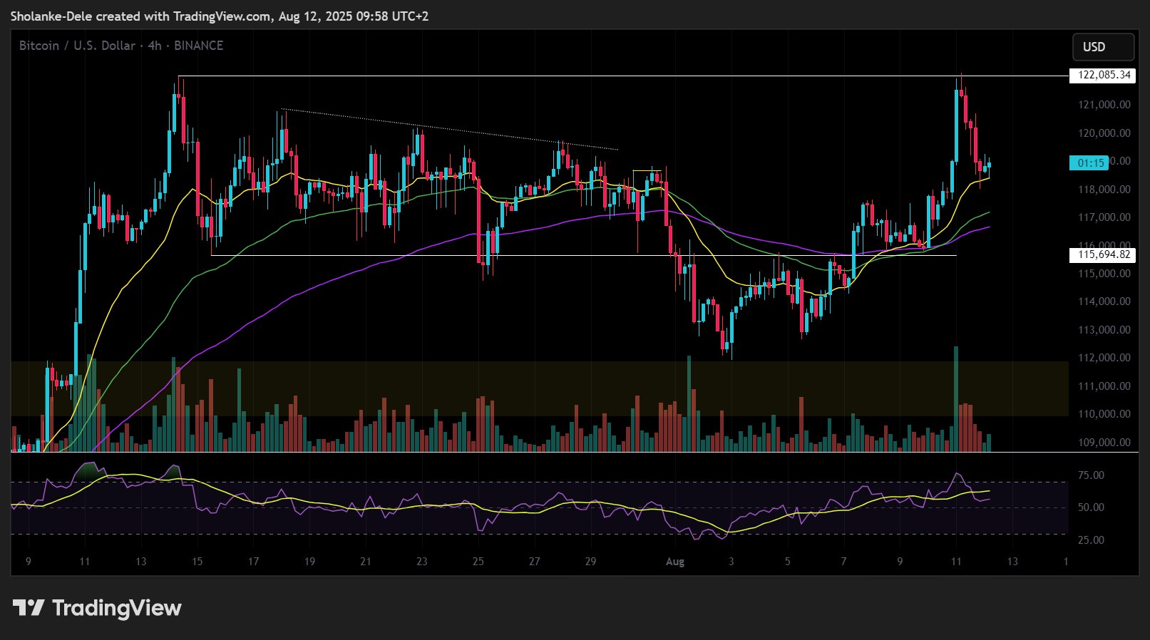 Bitcoin price chart August 2025