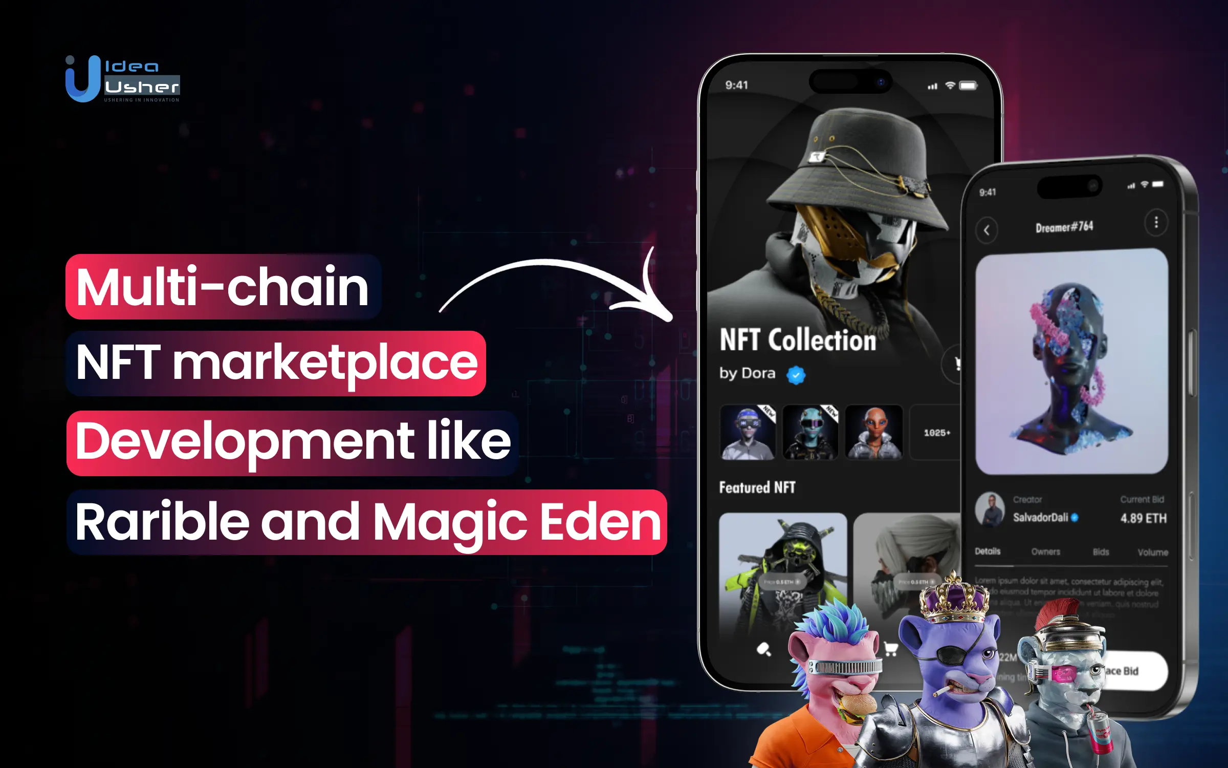 multi-chain wallet token and NFT support